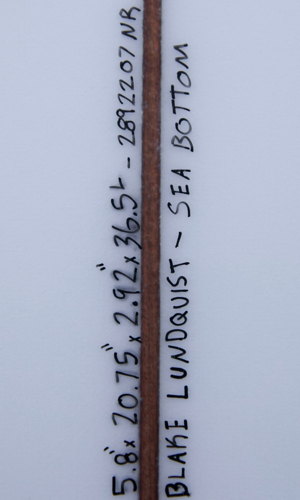 5'8" Sea Bottom