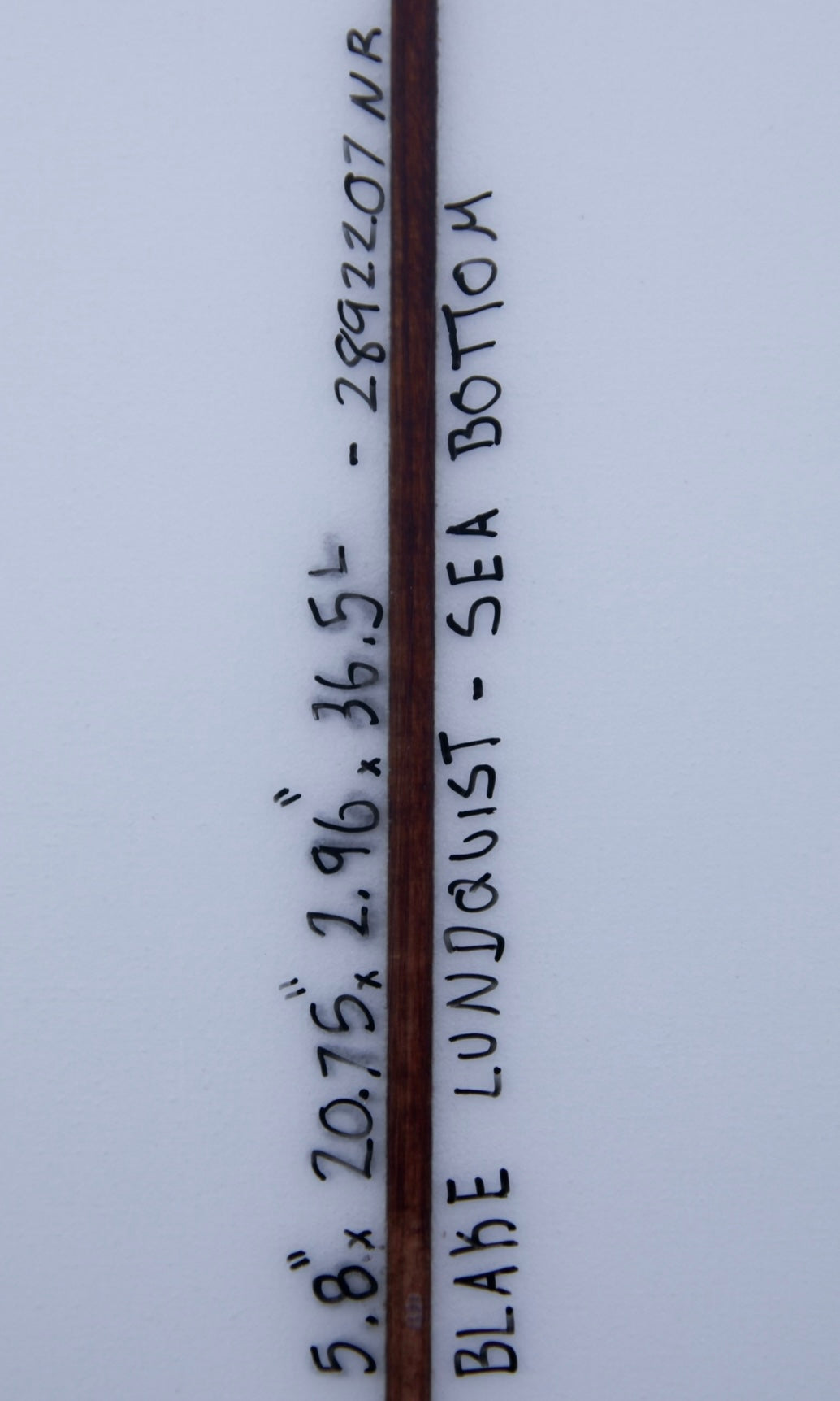 5'8" Sea Bottom