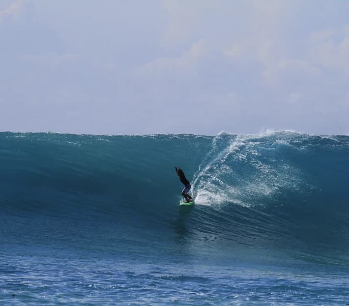 NVS Fish 101 (Grom, S) - Apex (Futures (Single Tab) / Small) photo 4
